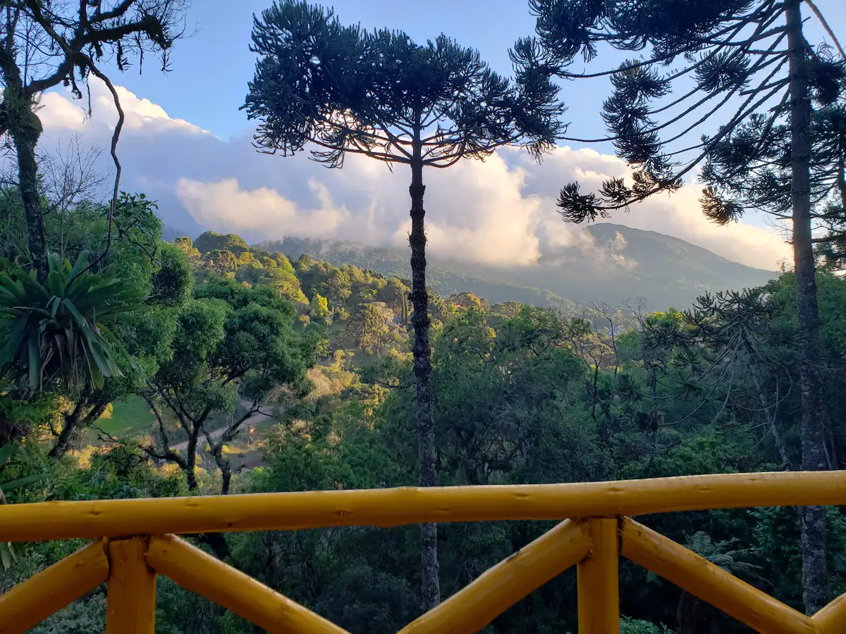 Casa na árvore em Monte Verde