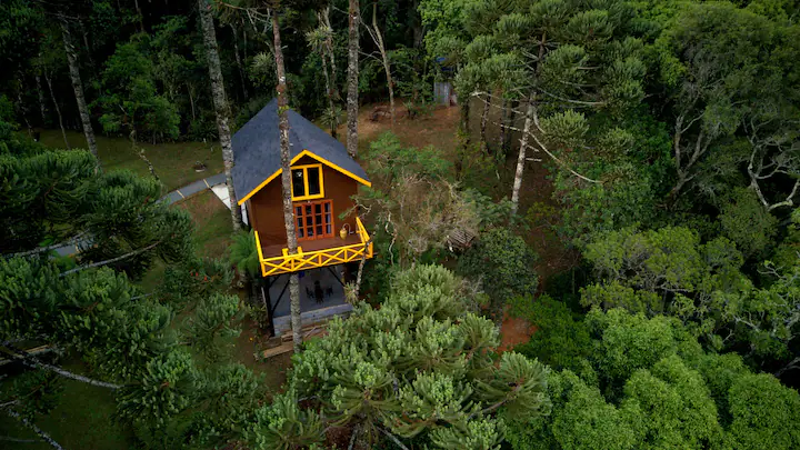 Casa na árvore em Monte Verde