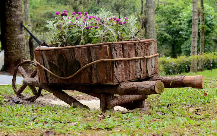 Casa na árvore em Monte Verde