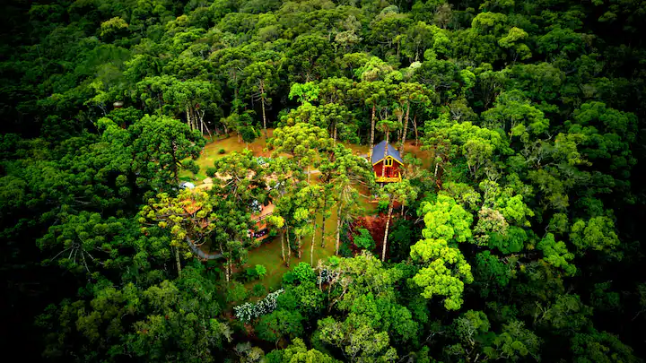 Casa na árvore em Monte Verde